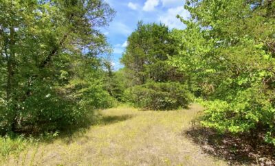 Owner Financed Hunting and Recreational Land in Missouri and Arkansas