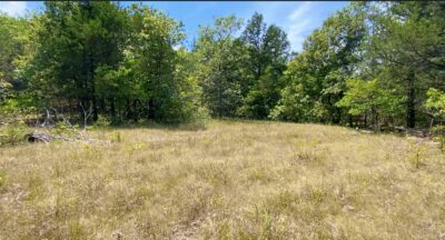 Owner Financed Hunting and Recreational Land in Missouri and Arkansas