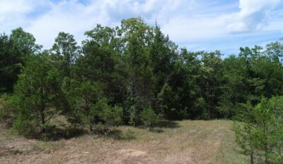 Owner Financed Hunting and Recreational Land in Missouri and Arkansas
