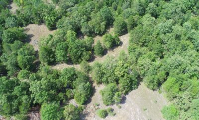 Owner Financed Hunting and Recreational Land in Missouri and Arkansas