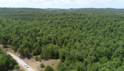 Owner Financed Hunting and Recreational Land in Missouri and Arkansas