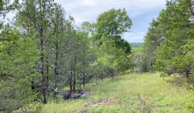 Owner Financed Hunting and Recreational Land in Missouri and Arkansas
