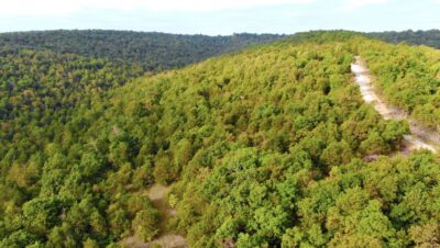 Owner Financed Hunting and Recreational Land in Missouri and Arkansas