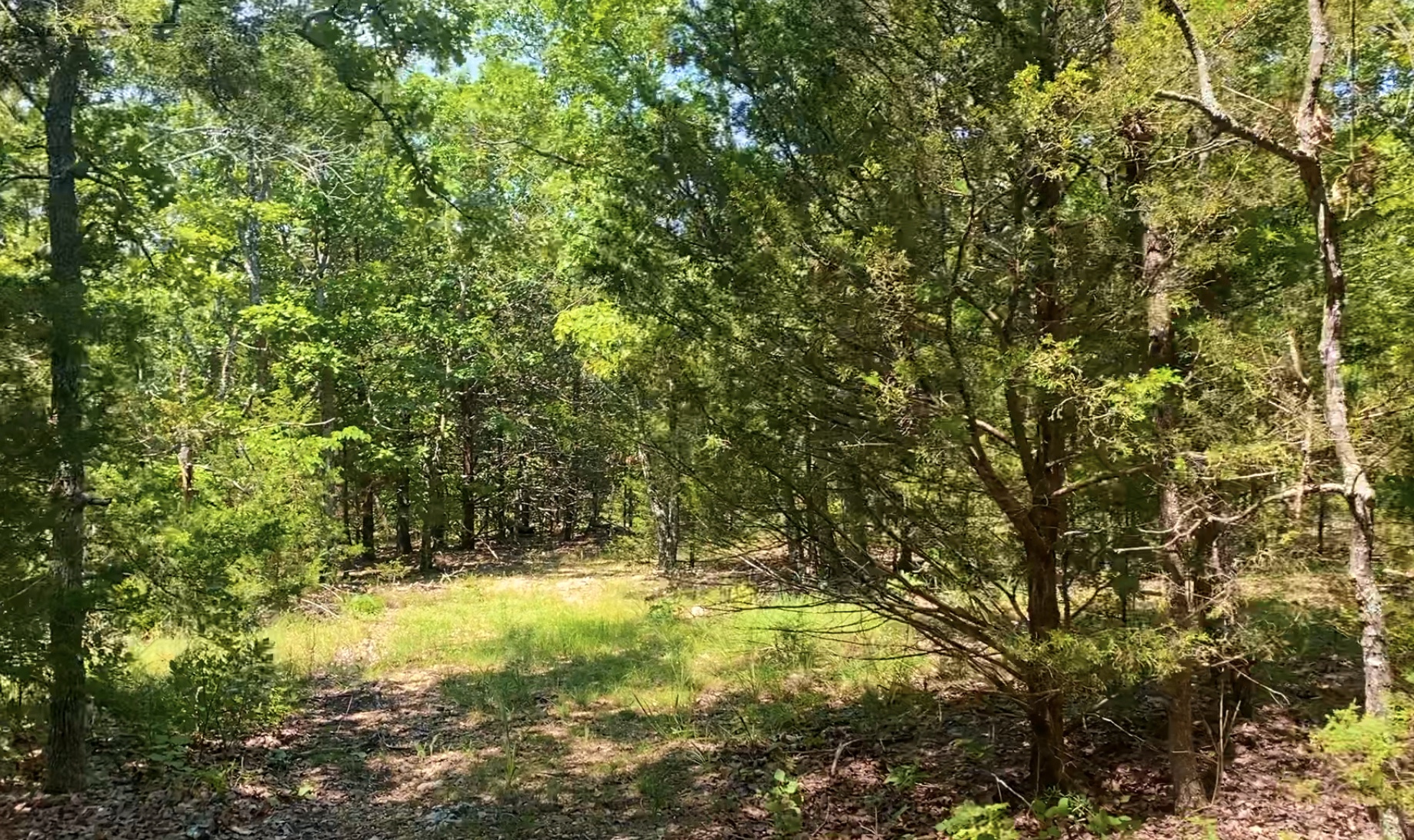 13.748 Acres with timber and privacy - Close to National Forest - ID# ...