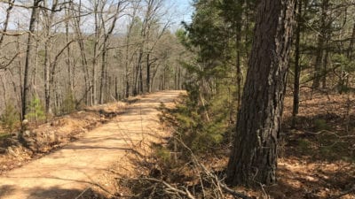 Owner Financed Hunting and Recreational Land in Missouri and Arkansas