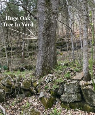 Owner Financed Hunting and Recreational Land in Missouri and Arkansas