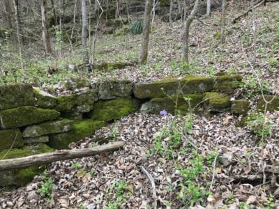 Owner Financed Hunting and Recreational Land in Missouri and Arkansas