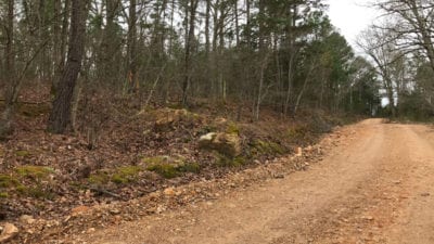 Owner Financed Hunting and Recreational Land in Missouri and Arkansas