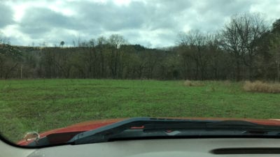 Owner Financed Hunting and Recreational Land in Missouri and Arkansas