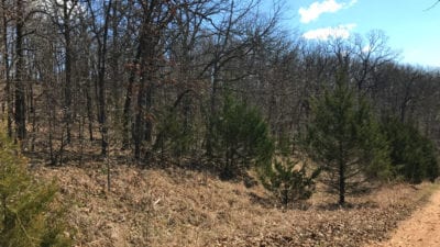 Owner Financed Hunting and Recreational Land in Missouri and Arkansas