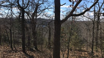 Owner Financed Hunting and Recreational Land in Missouri and Arkansas