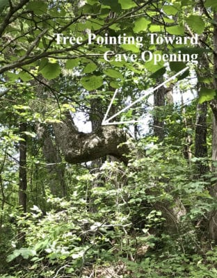 Owner Financed Hunting and Recreational Land in Missouri and Arkansas