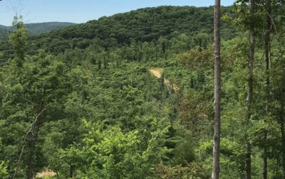 Owner Financed Hunting and Recreational Land in Missouri and Arkansas