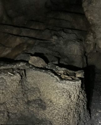 Owner Financed Hunting and Recreational Land in Missouri and Arkansas