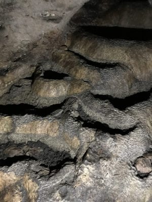 Owner Financed Hunting and Recreational Land in Missouri and Arkansas