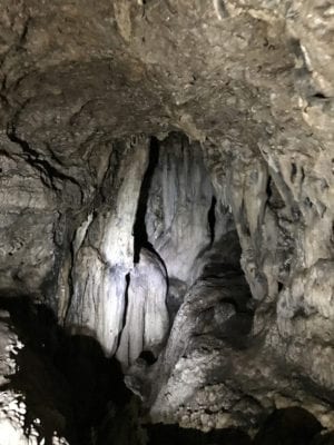 Owner Financed Hunting and Recreational Land in Missouri and Arkansas