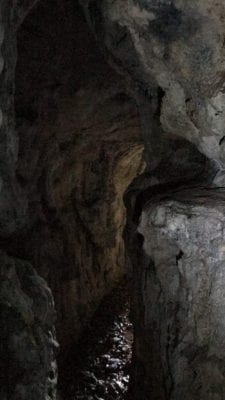 Owner Financed Hunting and Recreational Land in Missouri and Arkansas