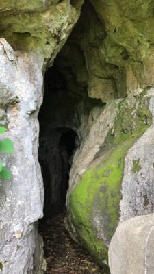 Owner Financed Hunting and Recreational Land in Missouri and Arkansas