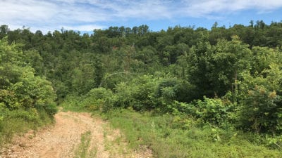 Owner Financed Hunting and Recreational Land in Missouri and Arkansas