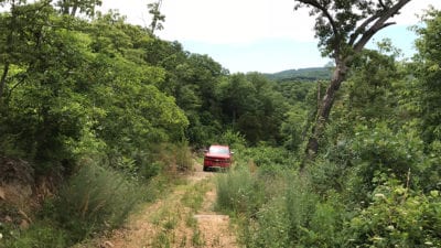 Owner Financed Hunting and Recreational Land in Missouri and Arkansas