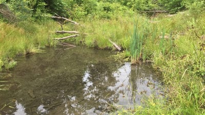 Owner Financed Hunting and Recreational Land in Missouri and Arkansas