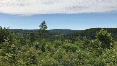 Owner Financed Hunting and Recreational Land in Missouri and Arkansas