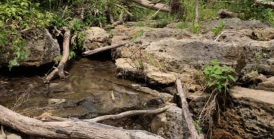 Owner Financed Hunting and Recreational Land in Missouri and Arkansas