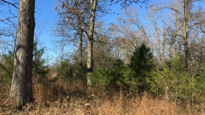Owner Financed Hunting and Recreational Land in Missouri and Arkansas