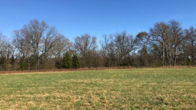 Owner Financed Hunting and Recreational Land in Missouri and Arkansas