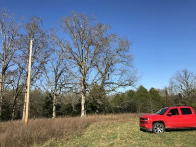 Owner Financed Hunting and Recreational Land in Missouri and Arkansas