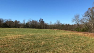 Owner Financed Hunting and Recreational Land in Missouri and Arkansas