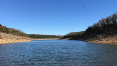 Owner Financed Hunting and Recreational Land in Missouri and Arkansas