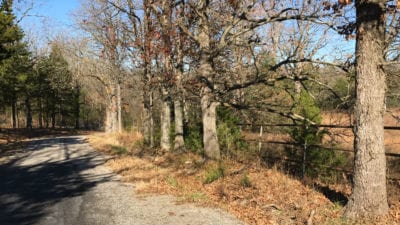 Owner Financed Hunting and Recreational Land in Missouri and Arkansas