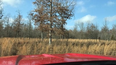 Owner Financed Hunting and Recreational Land in Missouri and Arkansas