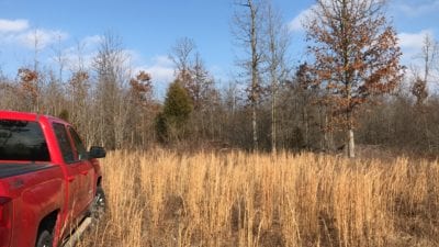 Owner Financed Hunting and Recreational Land in Missouri and Arkansas