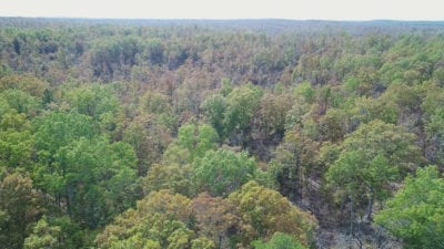 Owner Financed Hunting and Recreational Land in Missouri and Arkansas