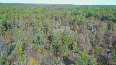 Owner Financed Hunting and Recreational Land in Missouri and Arkansas