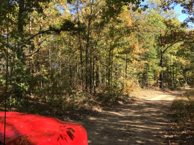 Owner Financed Hunting and Recreational Land in Missouri and Arkansas
