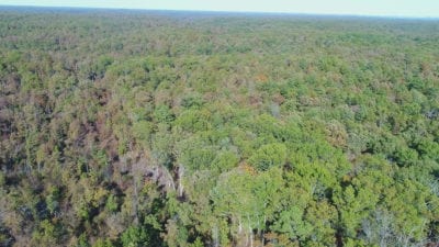 Owner Financed Hunting and Recreational Land in Missouri and Arkansas