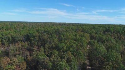 Owner Financed Hunting and Recreational Land in Missouri and Arkansas
