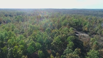 Owner Financed Hunting and Recreational Land in Missouri and Arkansas
