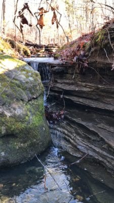 Owner Financed Hunting and Recreational Land in Missouri and Arkansas