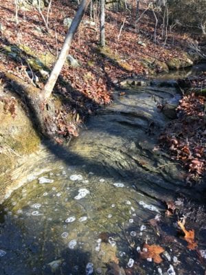 Owner Financed Hunting and Recreational Land in Missouri and Arkansas