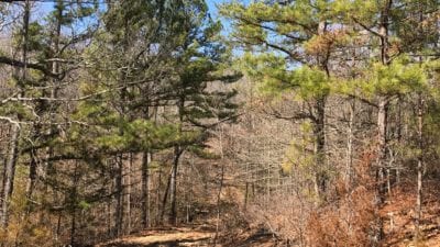 Owner Financed Hunting and Recreational Land in Missouri and Arkansas
