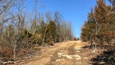 Owner Financed Hunting and Recreational Land in Missouri and Arkansas