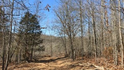 Owner Financed Hunting and Recreational Land in Missouri and Arkansas