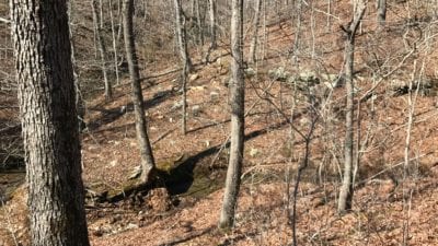 Owner Financed Hunting and Recreational Land in Missouri and Arkansas