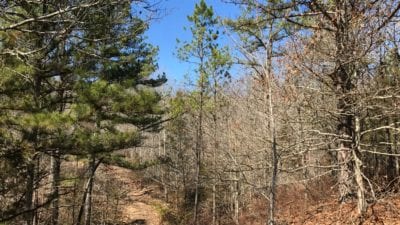 Owner Financed Hunting and Recreational Land in Missouri and Arkansas