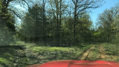 Owner Financed Hunting and Recreational Land in Missouri and Arkansas