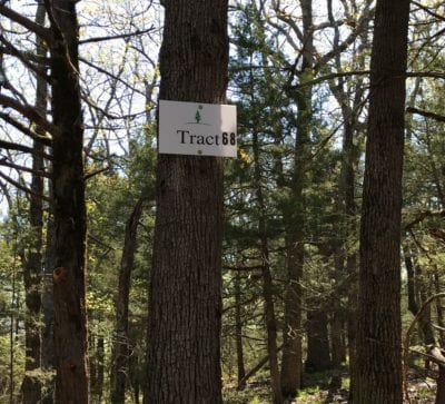 Owner Financed Hunting and Recreational Land in Missouri and Arkansas